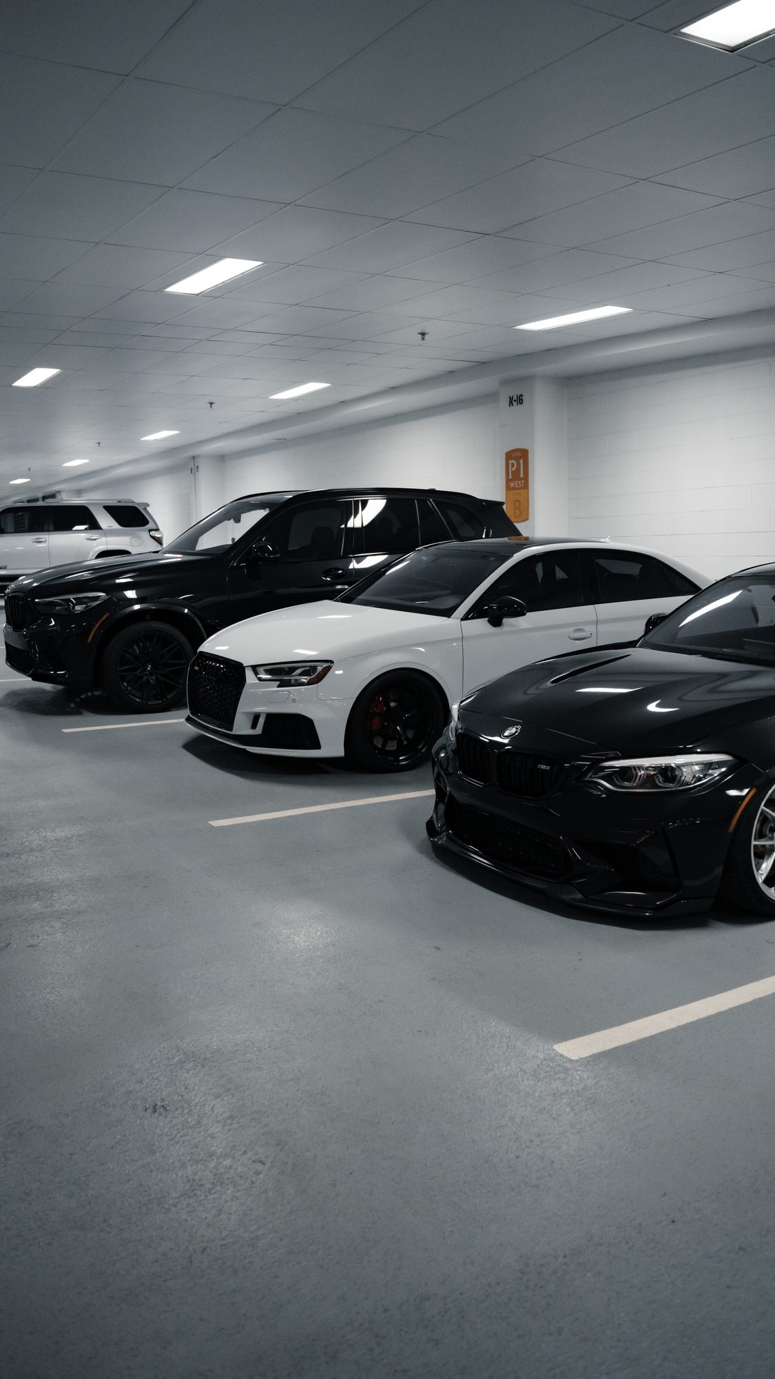 3AM lineup in the parking garage